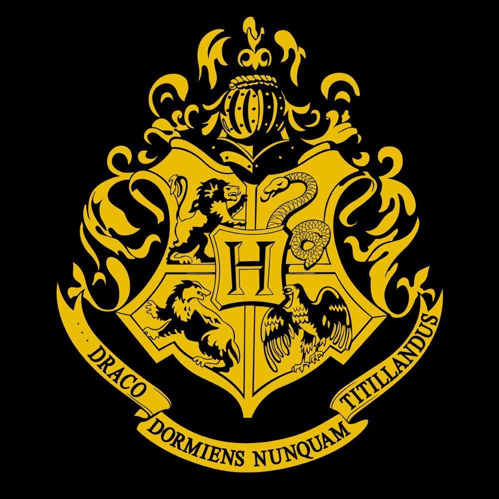 Hogwarts Logo - Hogwarts Gold Crest Juniors Black T Shirt