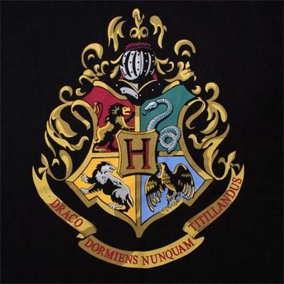 Hogwarts Logo - Hogwarts Color Crest Youth Black T Shirt