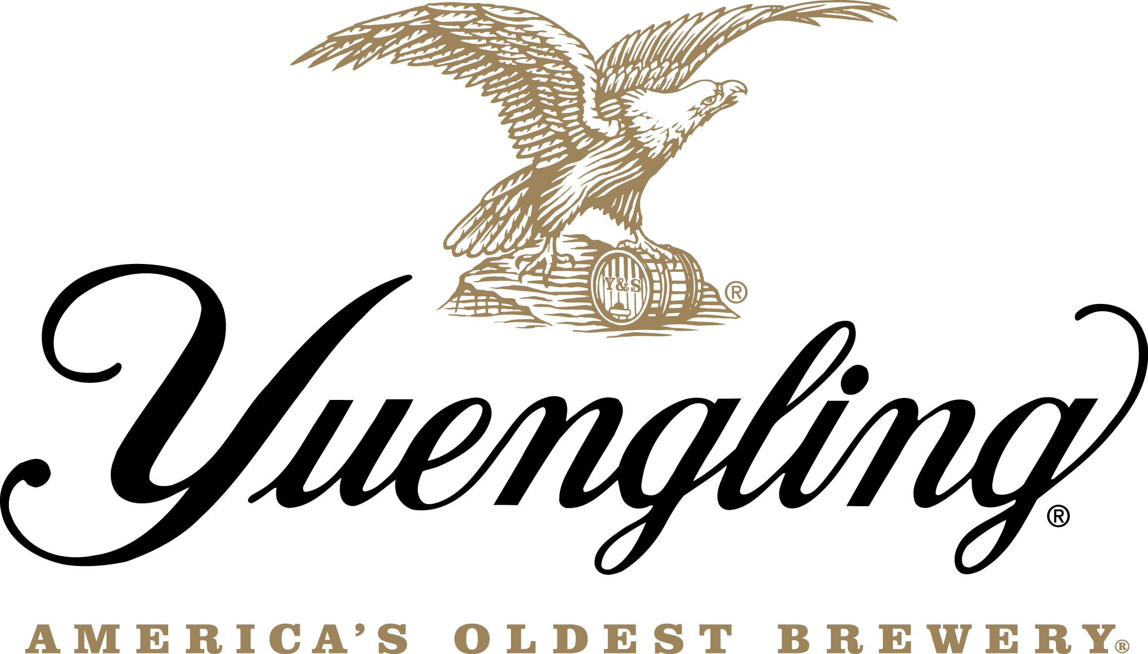 Yuengling Logo - Yuengling – Matesich Distributing