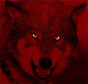 Cool Red Wolf Logo - nWo Wolfpac Logo | nWo wolfpack | nwo | Wolf, Red, WWE