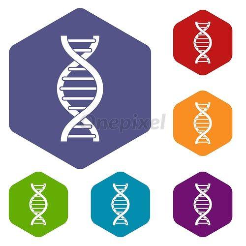 DNA Spiral Logo - DNA spiral icons set hexagon