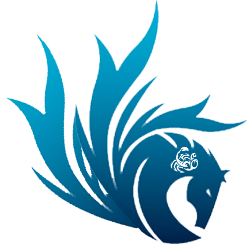 Pegasus Teams Logo - Play