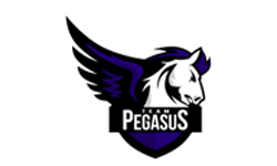 Pegasus Teams Logo - Summary -> Our Team Pegasus