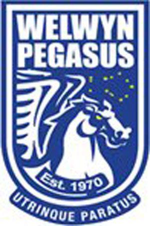 Pegasus Teams Logo - Welwyn Pegasus Ladies's Soccer City