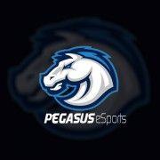 Pegasus Teams Logo - Pegasus esports - Team - Plantronics Cup Series - Global | ESL Play
