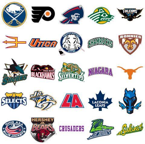 Custom Hockey Logo - Hockey Logos Designs. logo revealed for the arizona coyotes ...