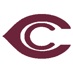 Cardinals Old Logo - Arizona Cardinals Primary Logo | Sports Logo History