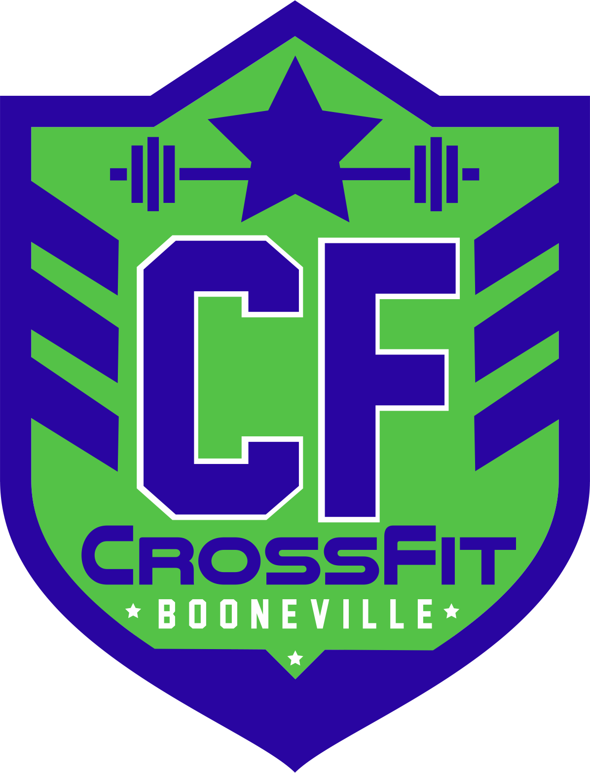 Purple and Green CrossFit Logo - CrossFit Booneville