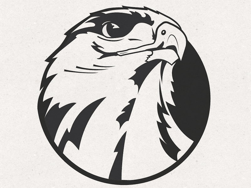 Gray Hawk Logo - Hawk Mascot/Logo Design by Vadimages | Dribbble | Dribbble