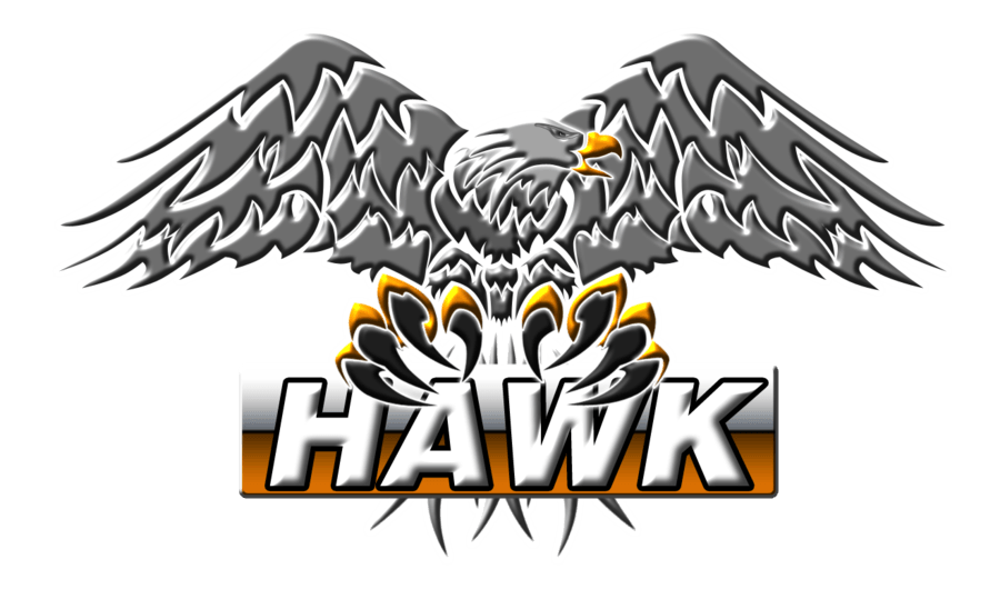 Gray Hawk Logo - Hawk 256x256 Logo Png Images