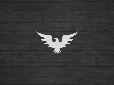 Gray Hawk Logo - Hawk Logo V2 by Jord Riekwel | Dribbble | Dribbble