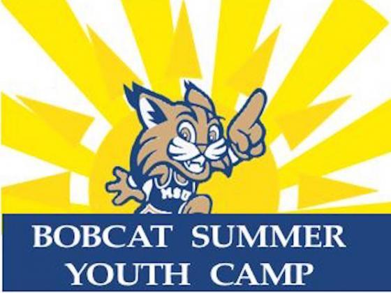 Summer Day Camp Logo - MSU to offer new summer day camp for children