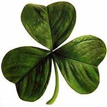 Green 3 Leaf Clover Logo - Shamrock