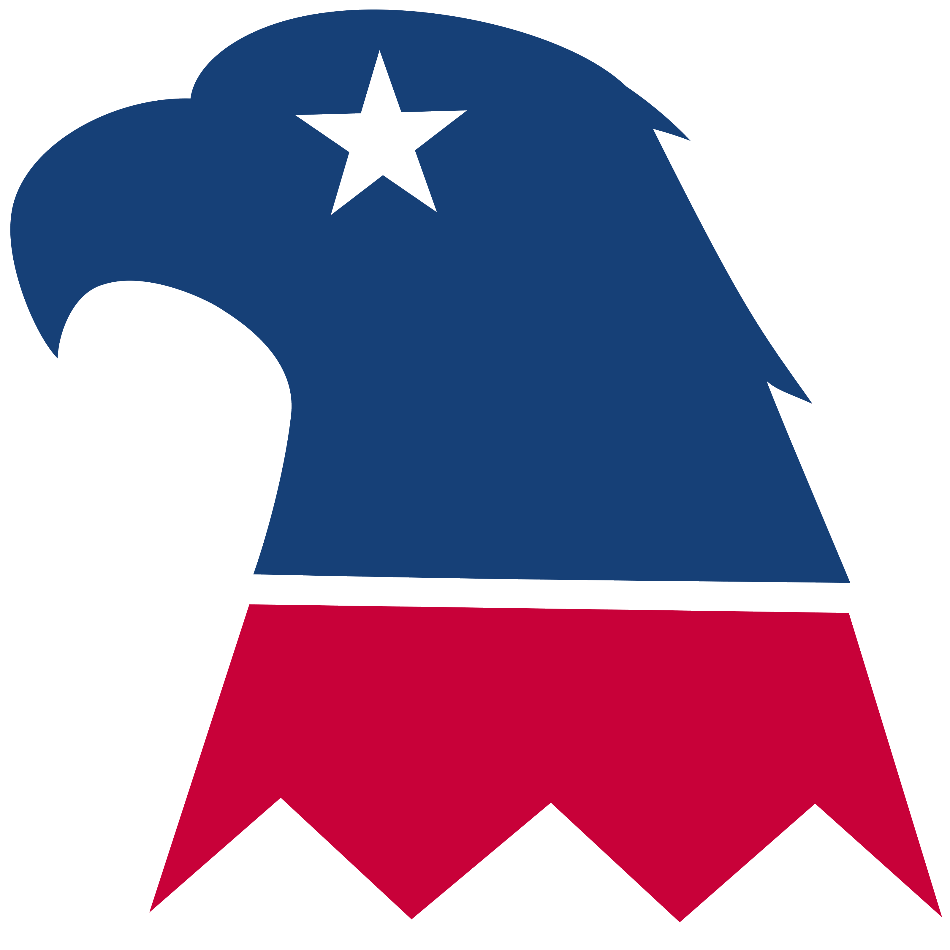 Constitution Logo - Life Membership - Alabama Constitution Party