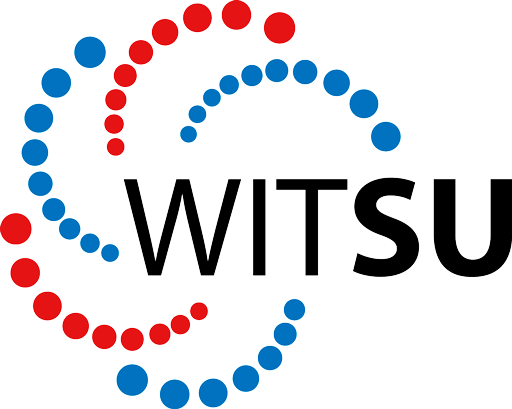 Constitution Logo - WITSU Constitution 2018