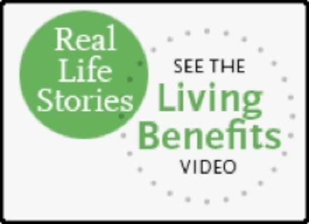 National Life Group Logo - National Life-Living Benefits-Financial Services-Midwest Agency ...