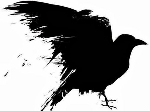 Cuervos Bird Logo - La increíble inteligencia de los cuervos | Art | Pinterest | Crow ...