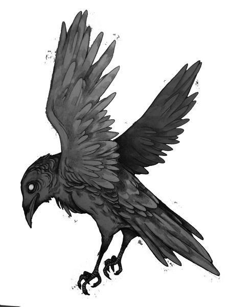 Cuervos Bird Logo - bird | tattoo | Pinterest | Cuervo, Cuervo dibujo and Tatuaje de cuervo