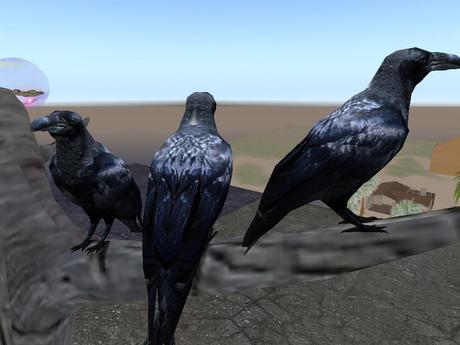Cuervos Bird Logo - Second Life Marketplace - raven - cuervo - bird
