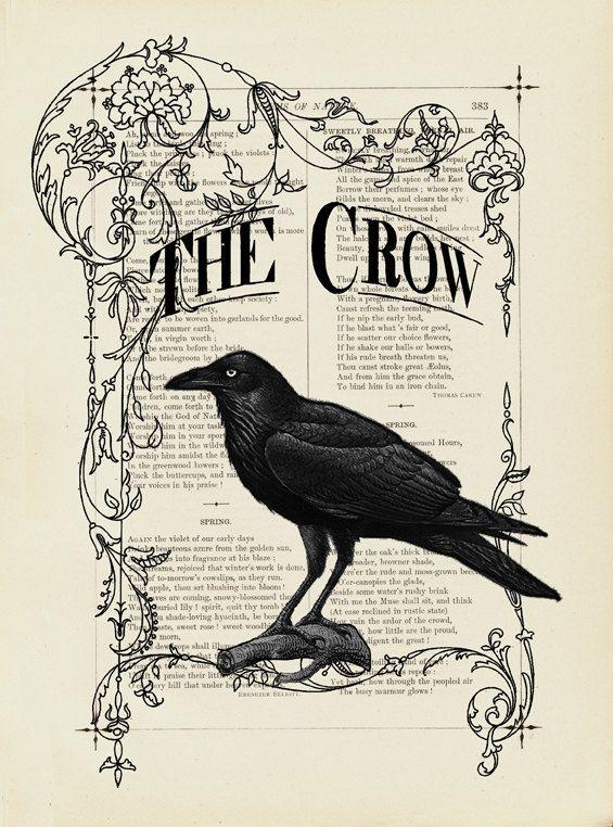 Cuervos Bird Logo - había una vez un cuervo | cuervos | Cuervo, Aves, Ilustraciones