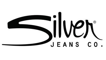 Silver Logo - Silver Logo