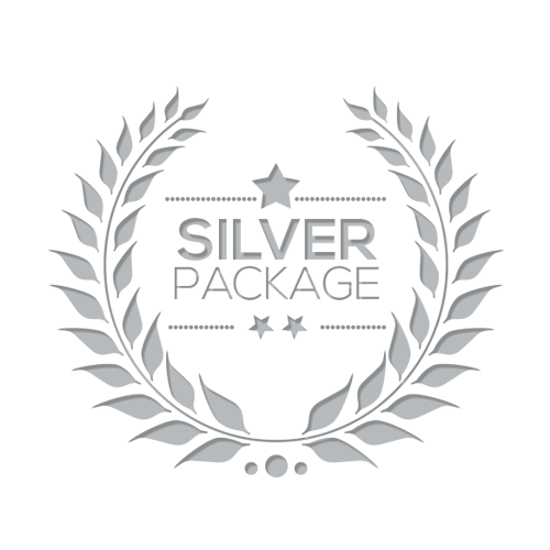Silver Logo - 10 Concepts of Logo & 2 Page Website Design by Professional Designers