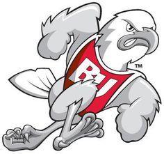 Red Bird Team Logo - 310 Best Bird Team Logos images in 2019 | Team logo, Sports logos ...