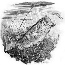 Black and White Bass Logo - Bass Fishing Tips - Tips on How to Catch a Largemouth Bass