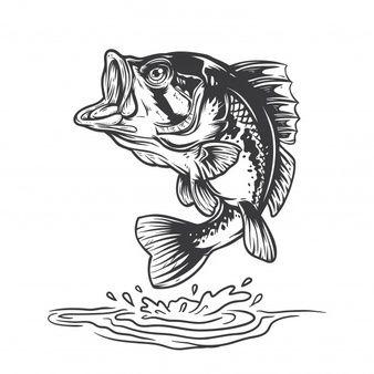 Black and White Bass Logo - Fish Vectors, Photo and PSD files