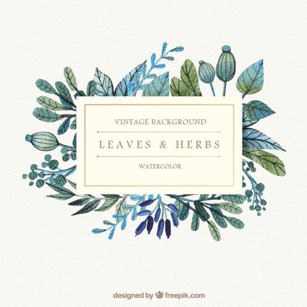 Watercolor Leaf Logo - Watercolor leaves and herbs background Vector | Free Download