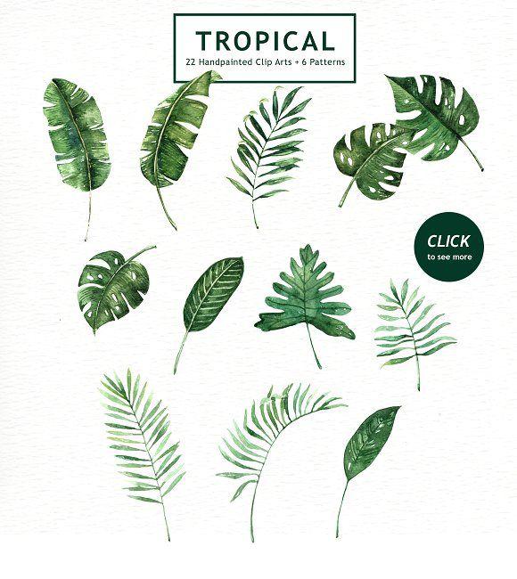 Watercolor Leaf Logo - Tropical Leaves Watercolor Clipart Illustrations Creative Market