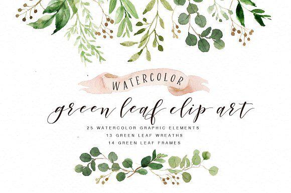 Watercolor Leaf Logo - Watercolor Green Leaf Clip Art Illustrations Creative Market