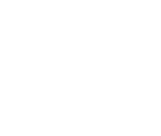 Black Tiger Logo - Celebrate Chinese New Year with Tiger Beer