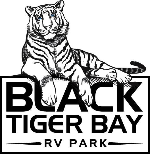 Black Tiger Logo - Black Tiger Bay RV Park - Devils Lake RV Park and Camping