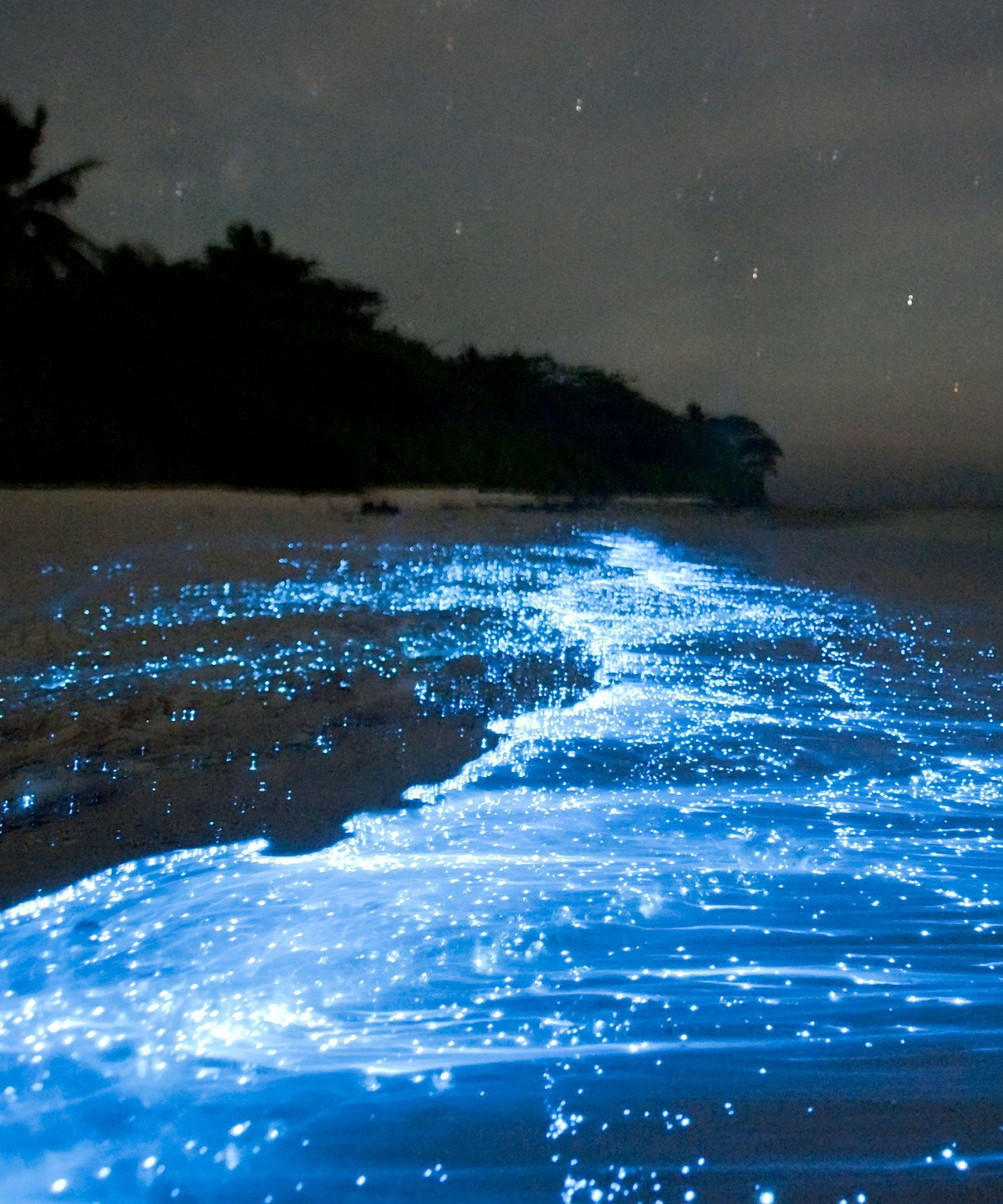 Stars and Blue Waves Logo - Sea of Stars Maldives. Travel. Sea of stars