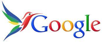www Google Logo - Is Google's Hummingbird Important for You?