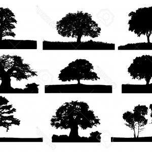 Black Tree Logo - Stock Illustration Oak Tree Logo Silhouette | SOIDERGI