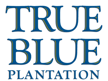 Blue Golf Logo - True Blue Golf Plantation in Pawleys Island. Myrtle Beach SC Golf