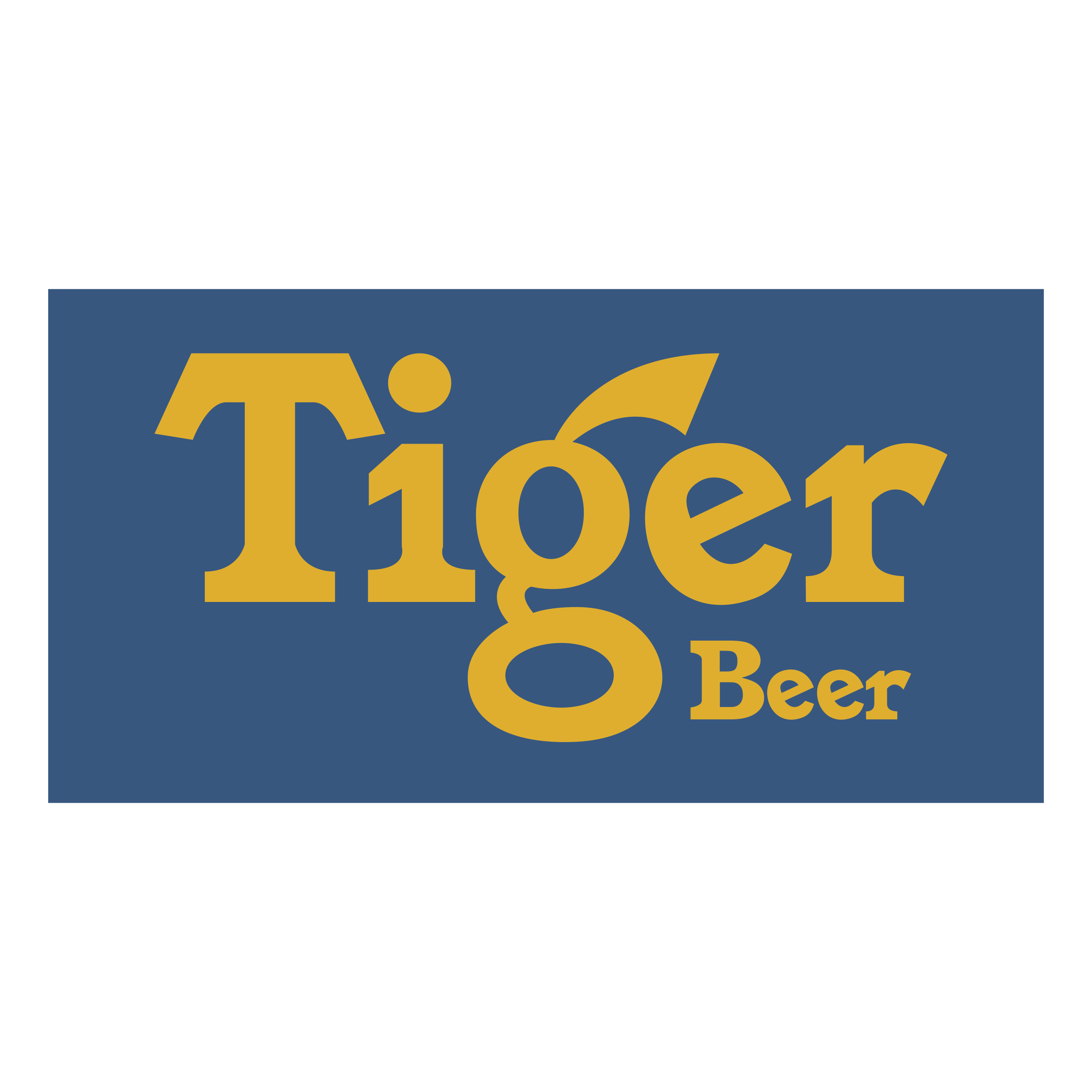 Tiger Beer Logo - Tiger Beer Logo PNG Transparent & SVG Vector