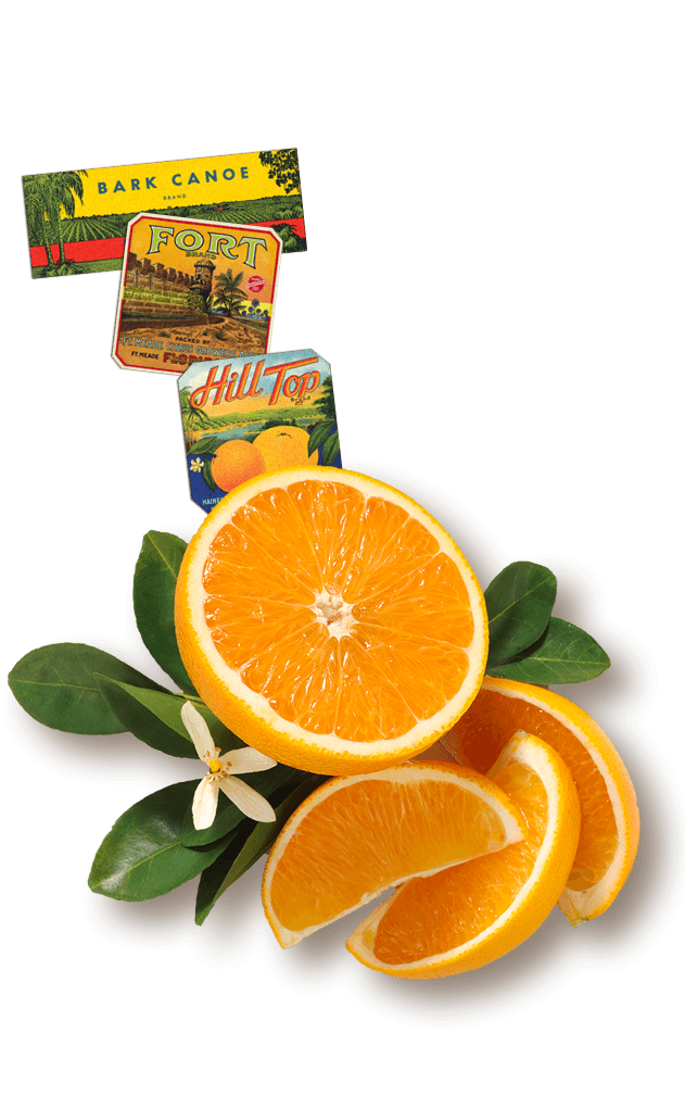 Florida Orange Logo - Florida's Natural orange juice