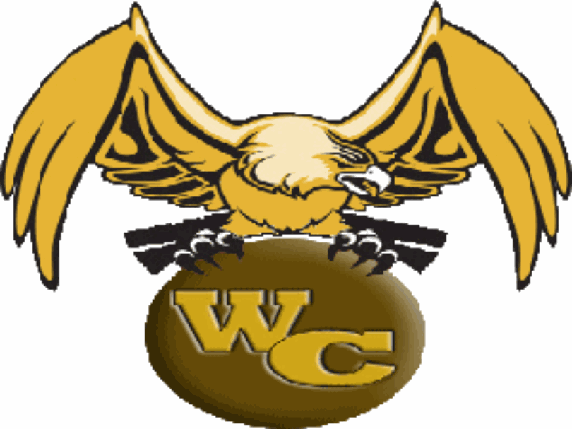Golden Hawk Logo - GA/Lina Hoops Preview: Gray shines for Washington County