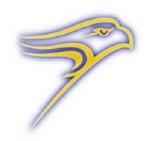 Golden Hawk Logo - Nicholl, Alan (Science) / Overview