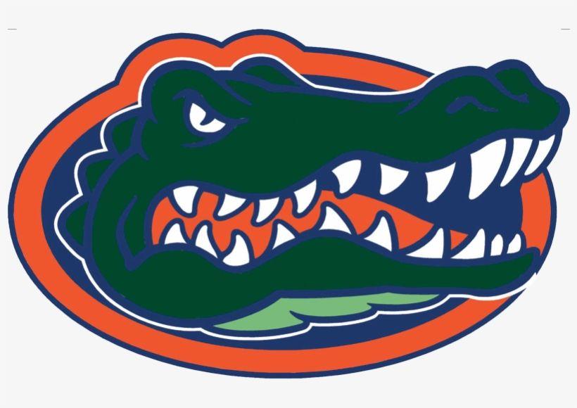 Gator Basketball Logo - Gator Logo For Web - Florida State Basketball Logo - Free ...