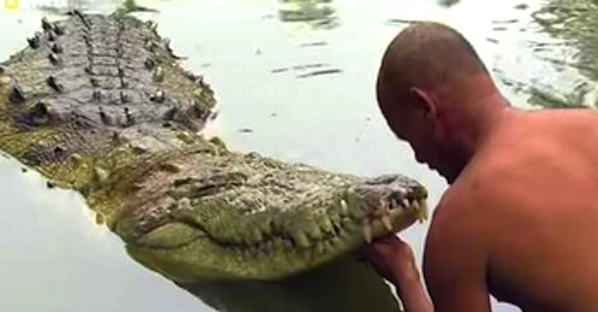 Crocodile Friend Logo - 20 Years Ago, He Saved This 'Monster' From Death. But When He Does ...