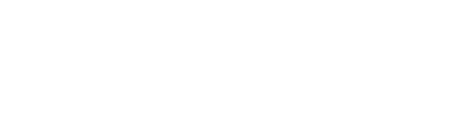 American Fashion Logo - LAFS