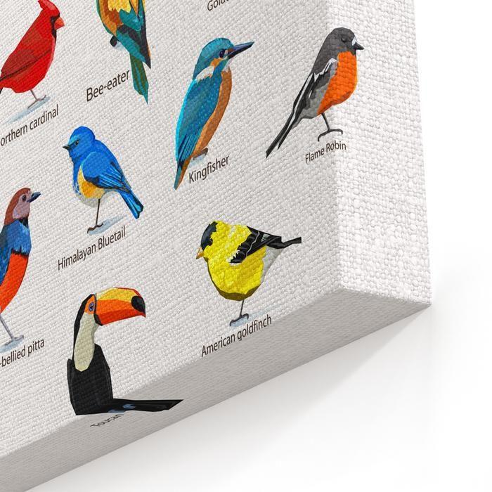 Flying Animals Logo - Big Set Birds Birds Flying, Animals, Bird Silhouette, Bird ...