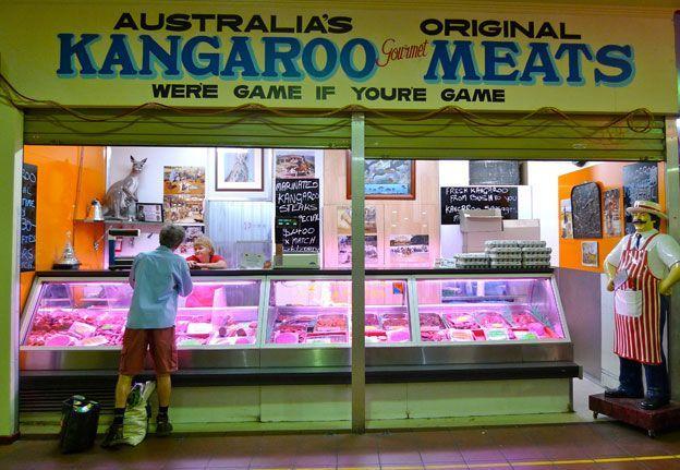 Kangaroo Restaurant Logo - Eating Skippy: Why Australia has a problem with kangaroo meat - BBC News