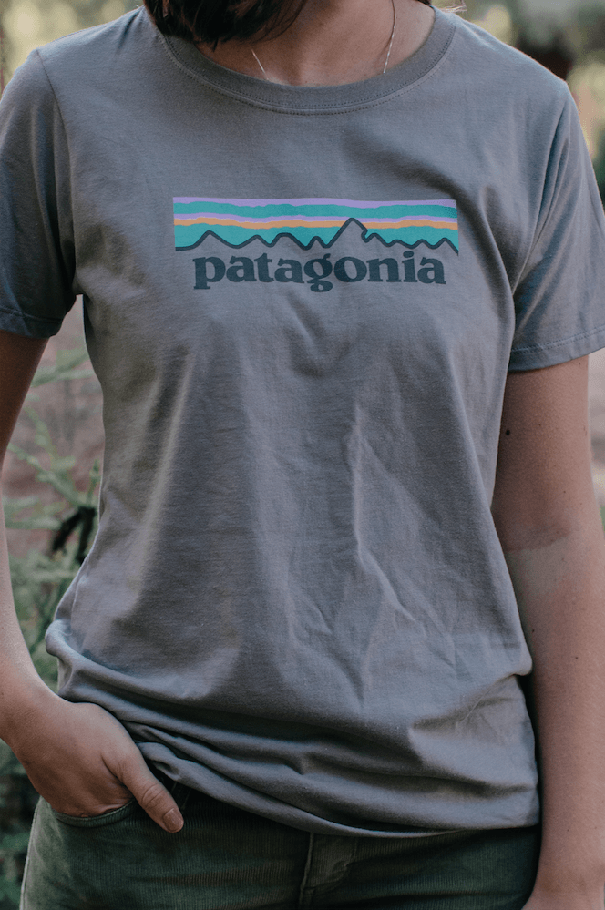 Grey Patagonia Logo - Patagonia Pastel P-6 Logo Cotton Crew T-Shirt - Women's - Feather ...