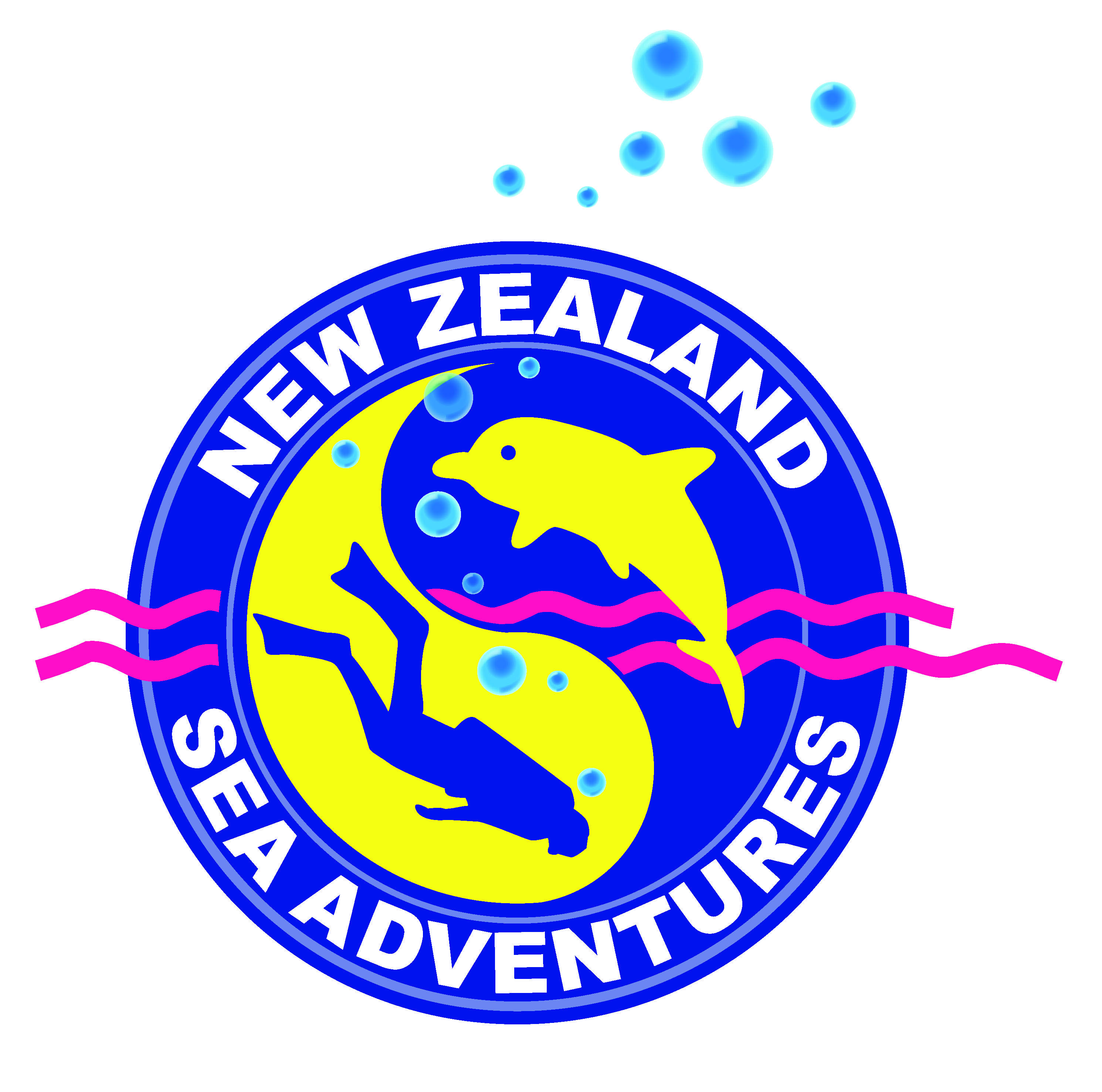 TDI Scuba Logo - Wellington Scuba diving; courses, gear and experiences - PADI, TDI plus!