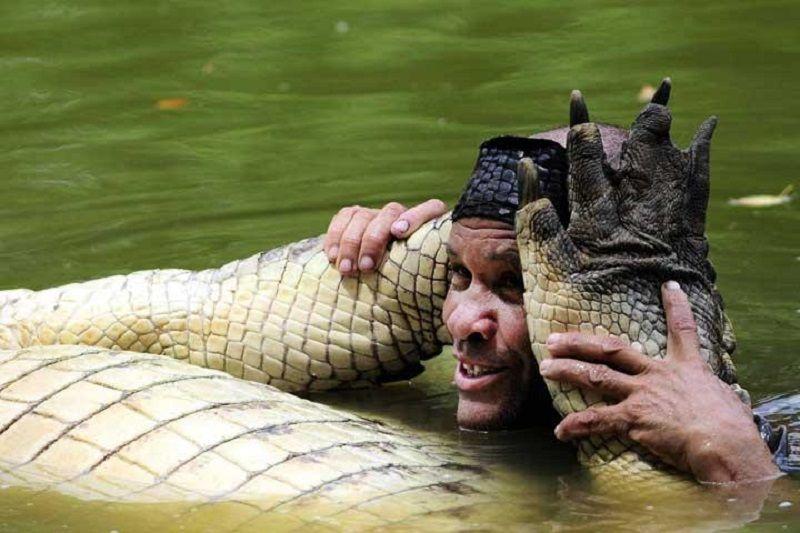 Crocodile Friend Logo - Farmer Rescues One Of The World's Most Dangerous Predators Before ...